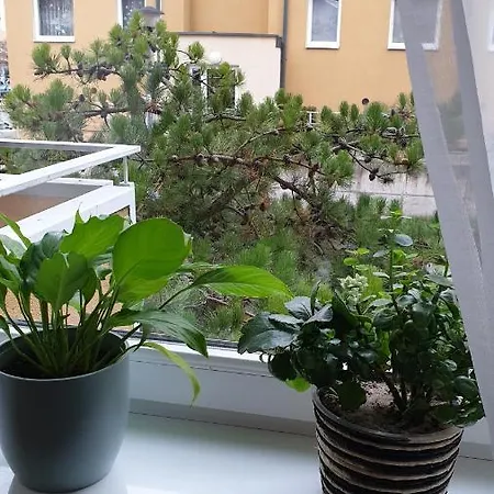 Fajna Cavalera Appartement *