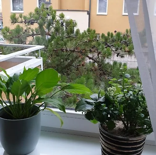 Fajna Cavalera Apartment *